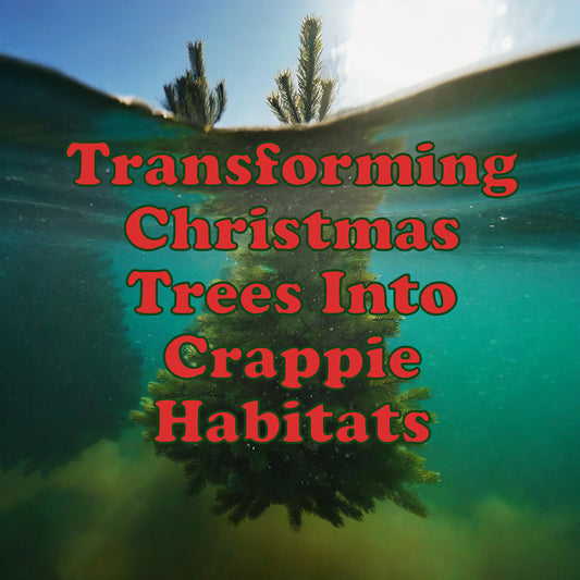 Transforming Christmas Trees into Underwater Crappie Habitats