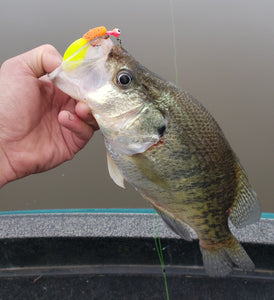 Tackle Techniques