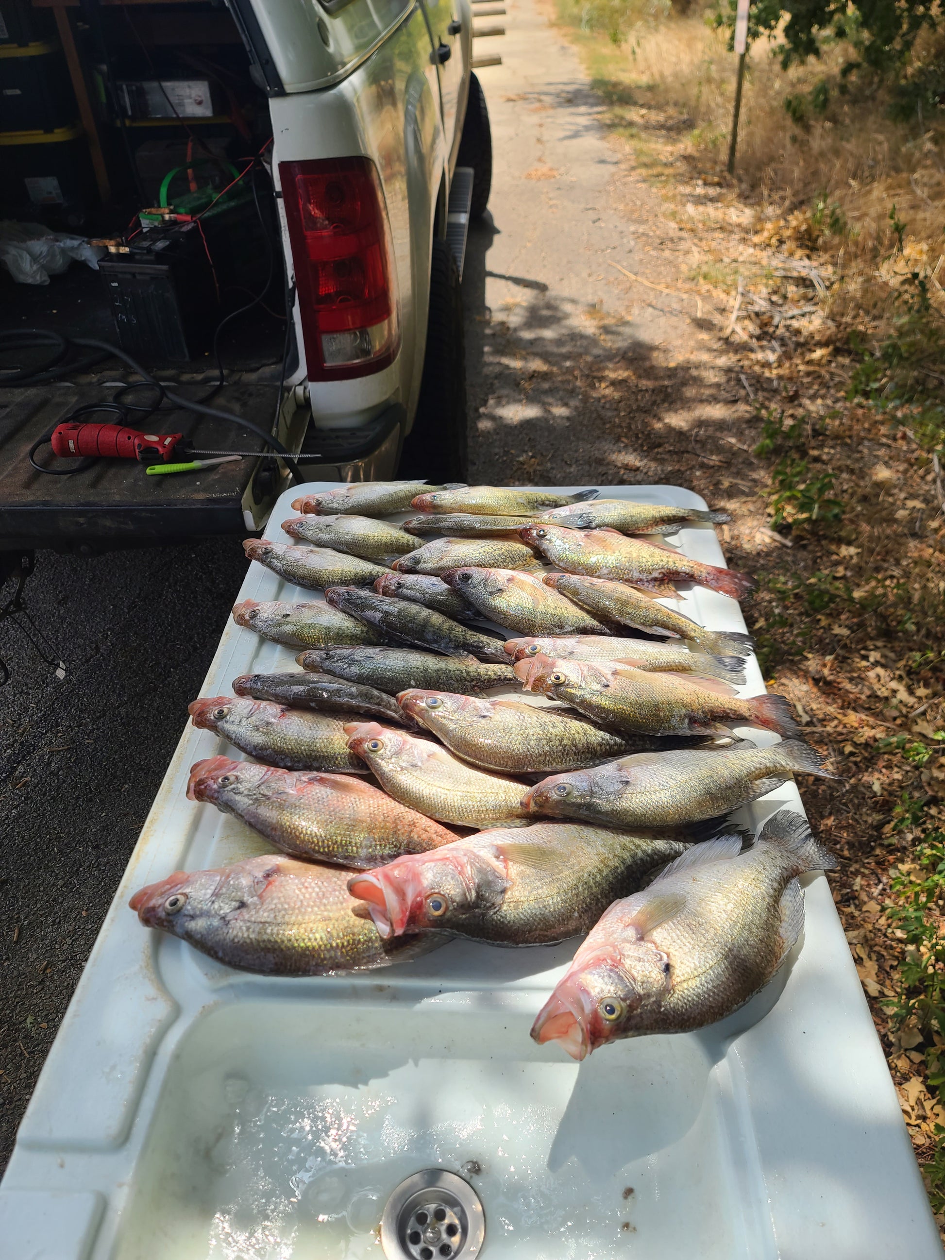 Lake Ray Roberts Fishing Guide, crappie fishing in Texas.