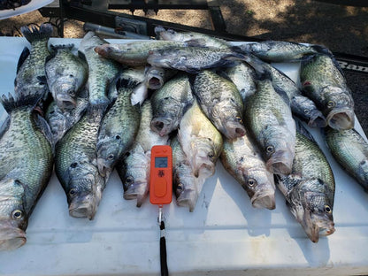 Lake Ray Roberts Fishing Guide, crappie fishing in Texas.