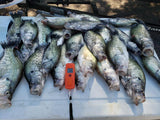 Lake Ray Roberts Guided Crappie Trip